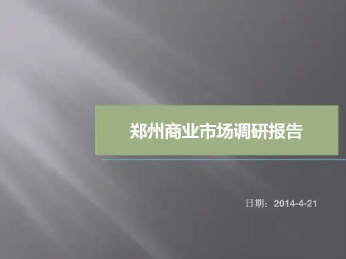 2019年郑州商业市场调研报告共27页