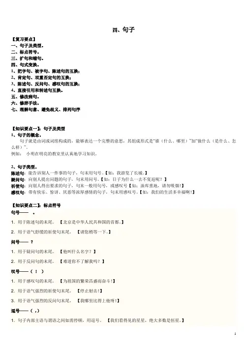 小升初语文句子专项复习 (1)