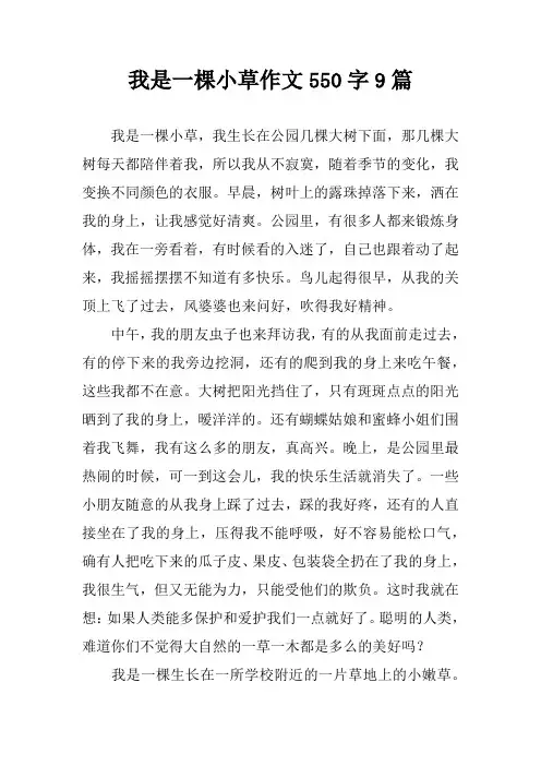 我是一棵小草作文550字9篇