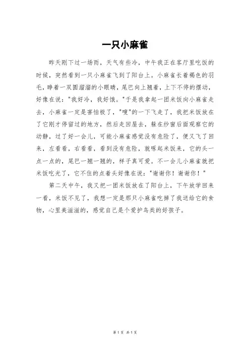 一只小麻雀_二年级作文