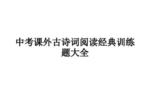 中考课外古诗词阅读经典训练题
