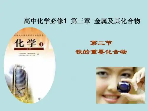 南昌大学附属中学高三化学总复习课件3.2.4铁及其化合物