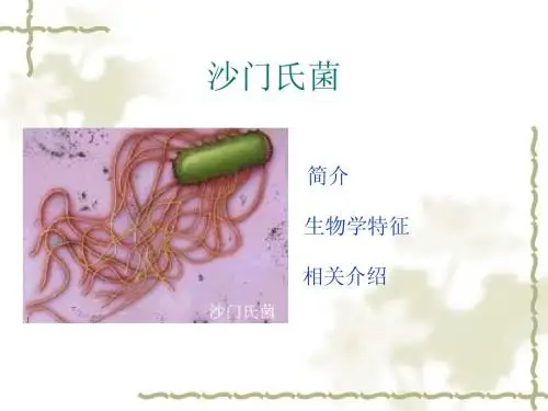 沙门氏菌