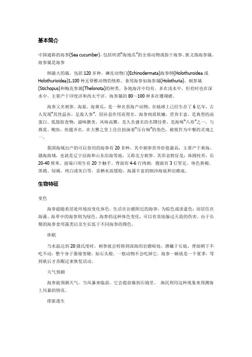 海参 2