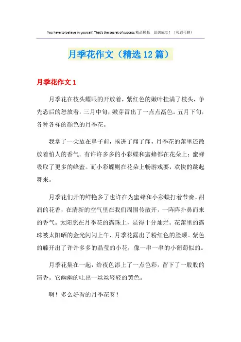 月季花作文(精选12篇)