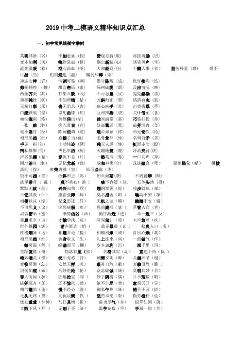  2019中考二模语文精华知识点汇总