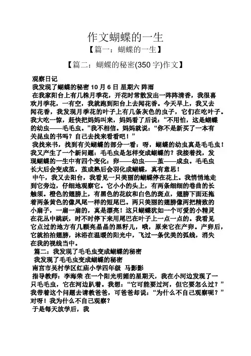 蝴蝶作文之作文蝴蝶的一生