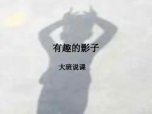 有趣的影子说课ppt