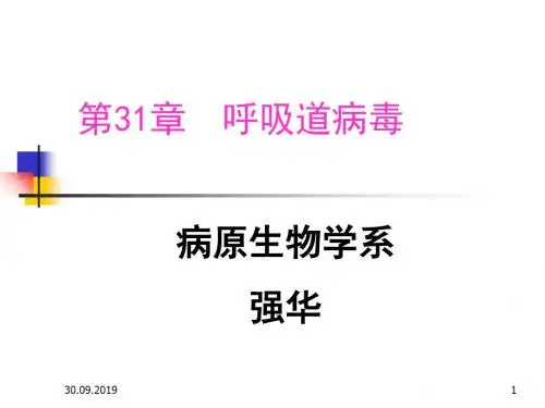 微生物课件—病毒学—呼吸道病毒腺病毒3137-精品文档56页