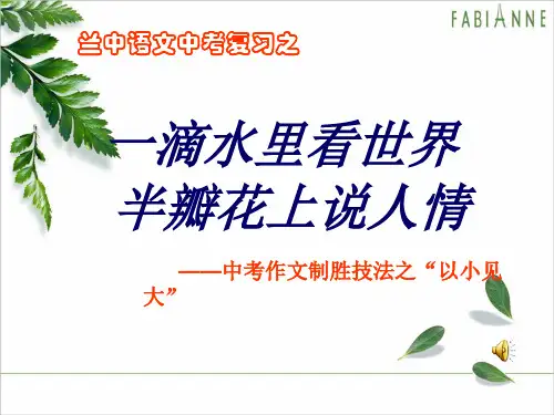 《记叙文写作中如何小中见大》