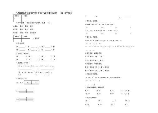 小升初专项训练汉字综合及答案-人教部编版语文