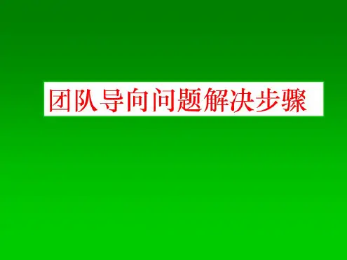 团队导向问题解决步骤(PPT58张)