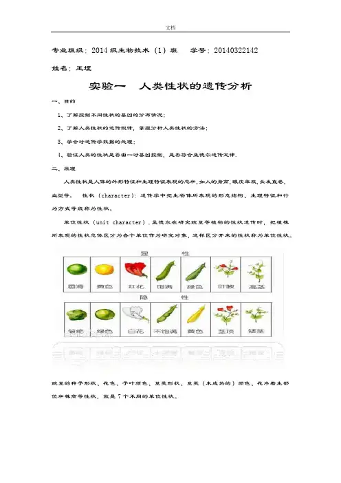 实验一：人类性状遗传分析报告 2