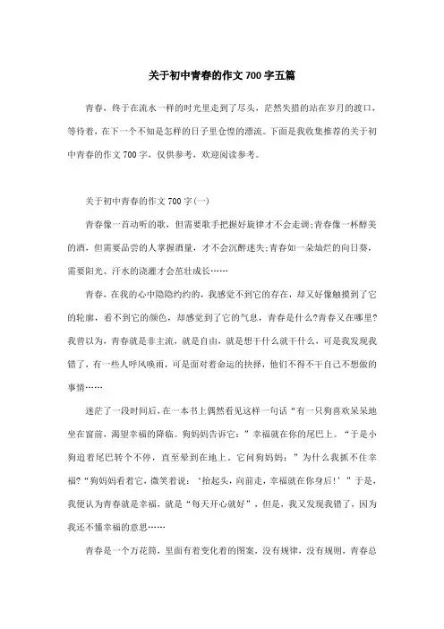 关于初中青春的作文700字五篇