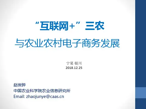 赵俊晔-互联网+三农与农业农村电子商务