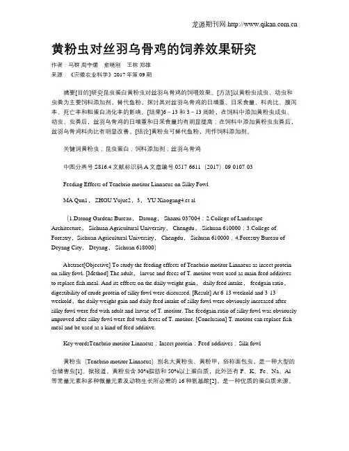 黄粉虫对丝羽乌骨鸡的饲养效果研究