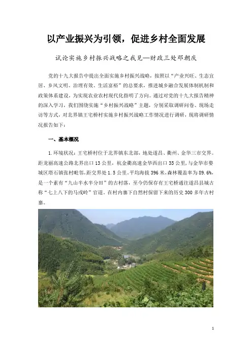 乡村振兴调研文章