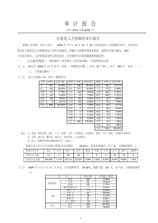 人力资源审计报告(定稿)