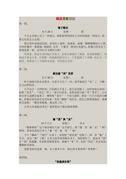 绿豆观察日记