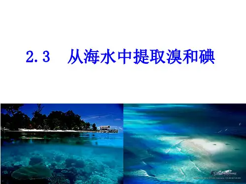 从海水中提取溴和碘知识讲解