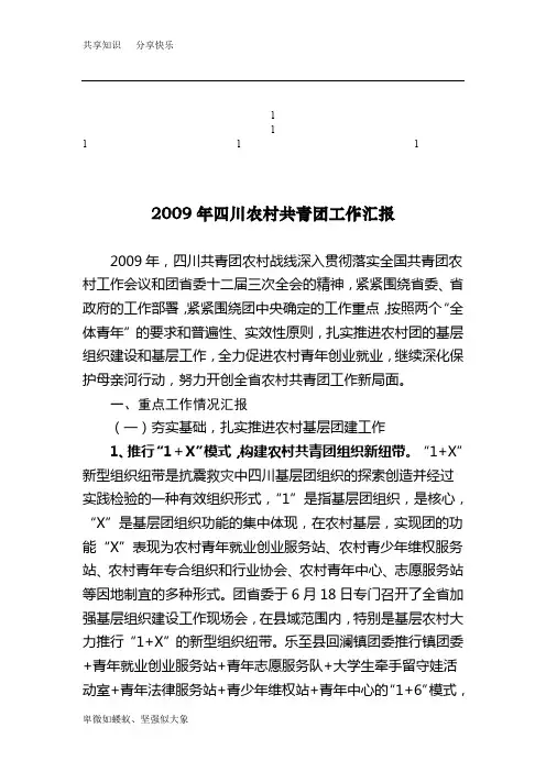 2009年四川农村共青团工作汇报