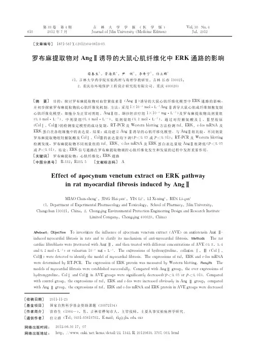 罗布麻提取物对AngⅡ诱导的大鼠心肌纤维化中ERK通路的影响