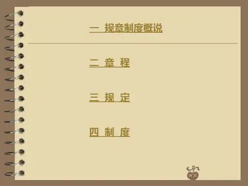 第13课《规章制度》共42页文档