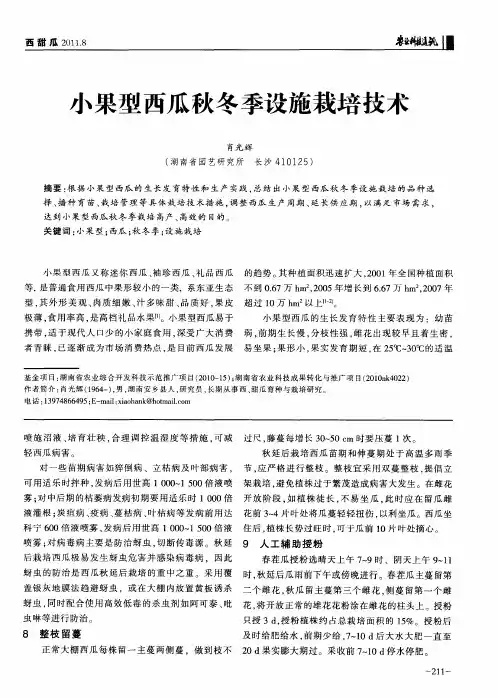 小果型西瓜秋冬季设施栽培技术