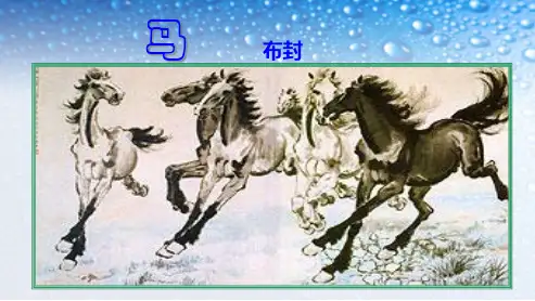 七年级语文下册(人教版)29_马-布封ppt课件