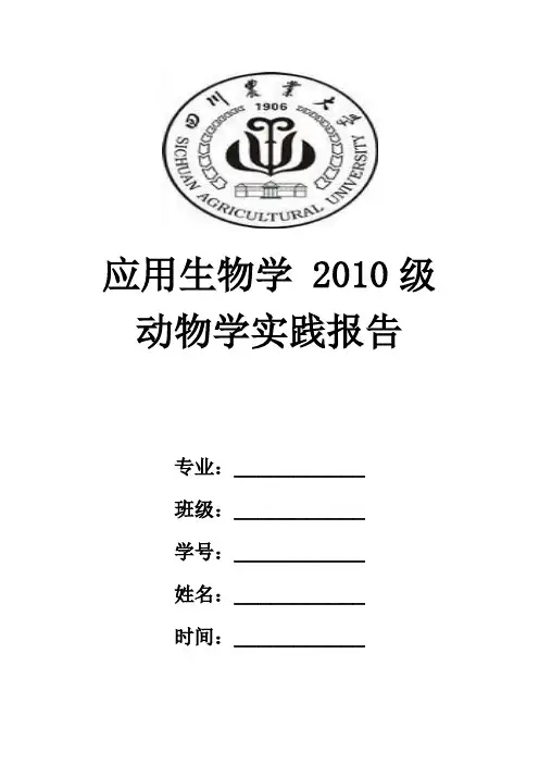 鸡的孵化