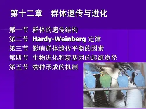 第十二章 群体遗传与进化