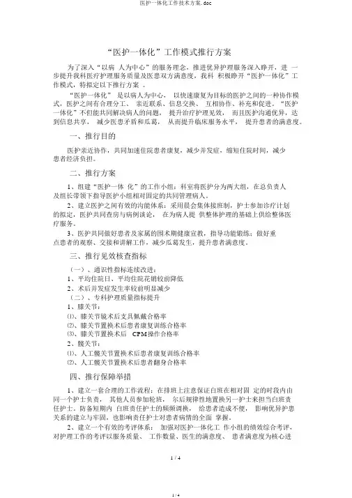 医护一体化工作技术方案.doc