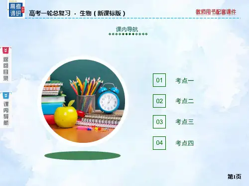 高三复习 人和高等动物的神经调节