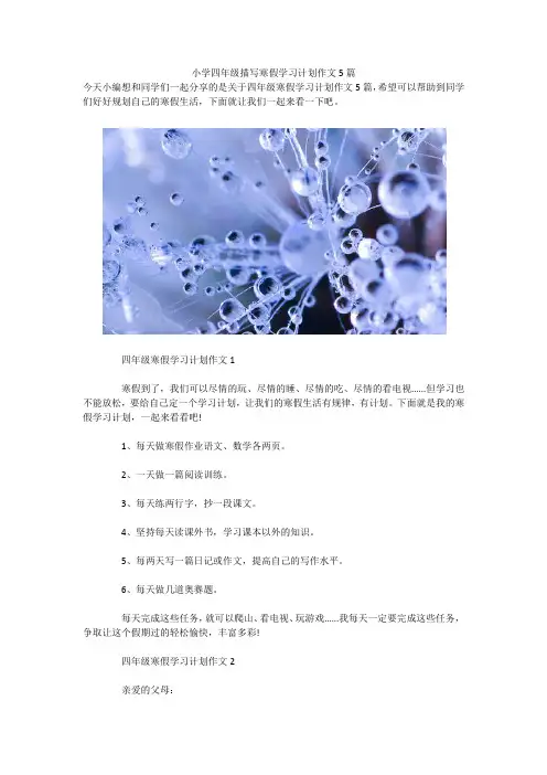 小学四年级描写寒假学习计划作文5篇 