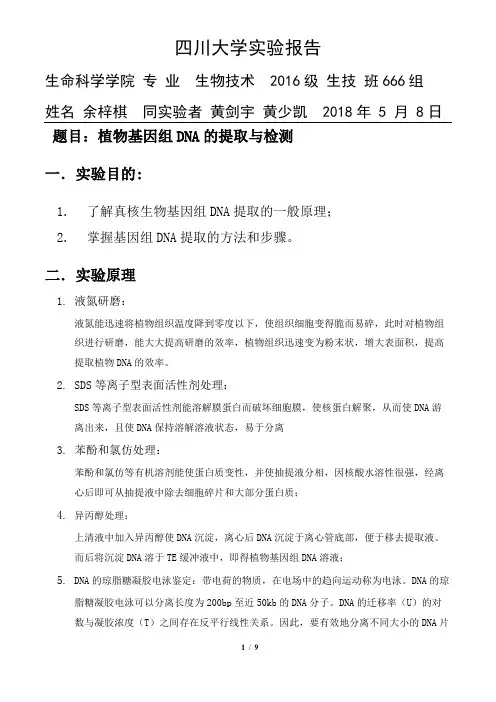 植物基因组DNA的提取与检测