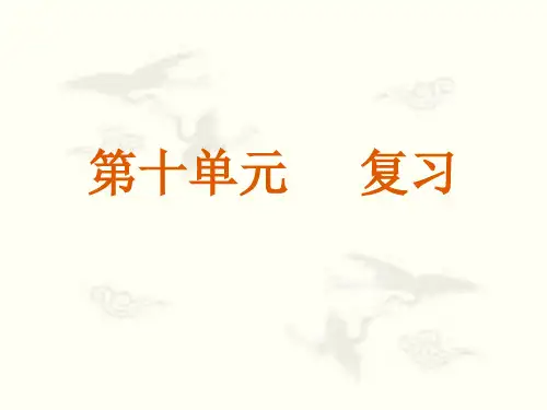 新人教版 初中化学 第十单元 常见的酸和碱 复习