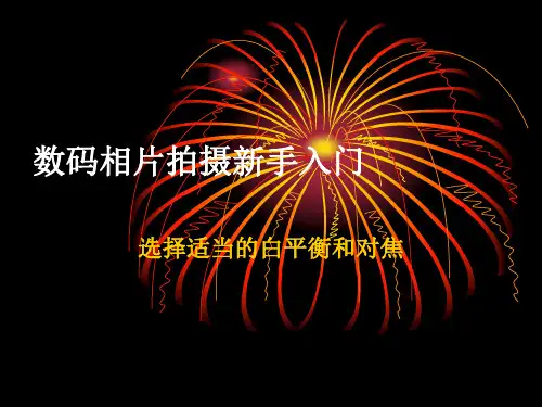 摄影第三讲 白平衡和对焦资料