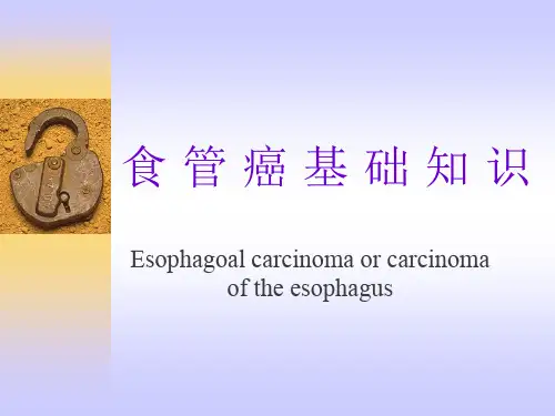 最新版 食管癌基础知识 中国医科大学