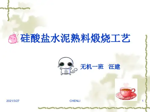 水泥熟料煅烧工艺