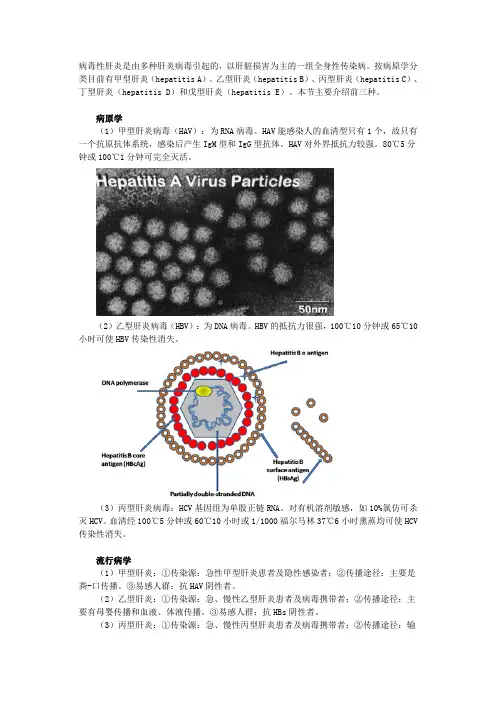 病毒性肝炎 2