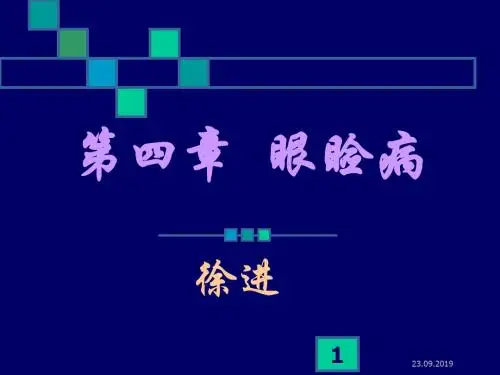 眼睑病分析-精品文档90页
