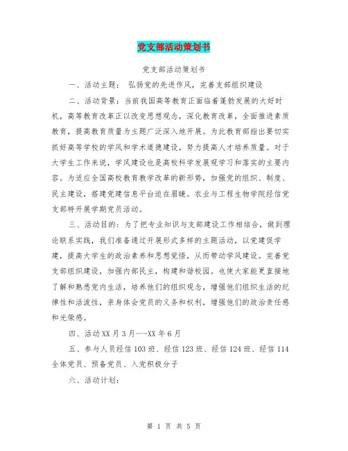 党支部活动策划书