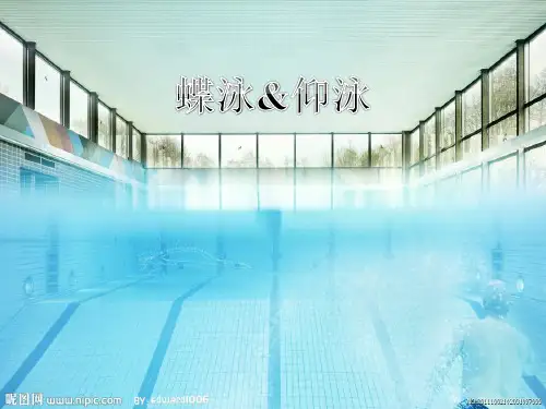 仰泳,蝶泳,篮球
