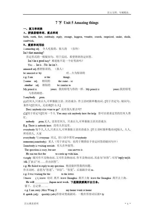 【牛津译林版】中考英语一轮复习教案：7下 Unit 5 Amazing things