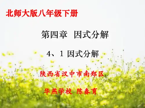 1.分解因式