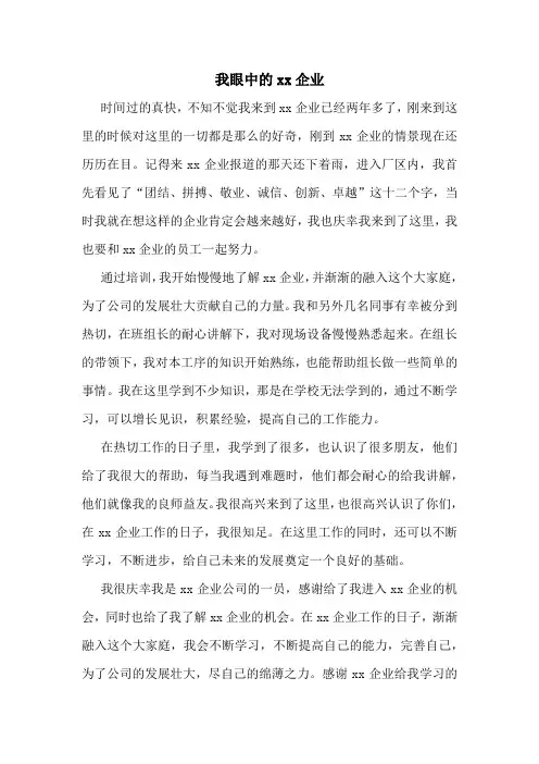 我眼中的xx企业
