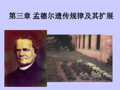 动物遗传学课件第三章 孟德尔遗传规律及其扩展