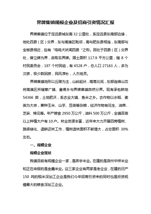 界牌集镇规模企业及招商引资情况汇报