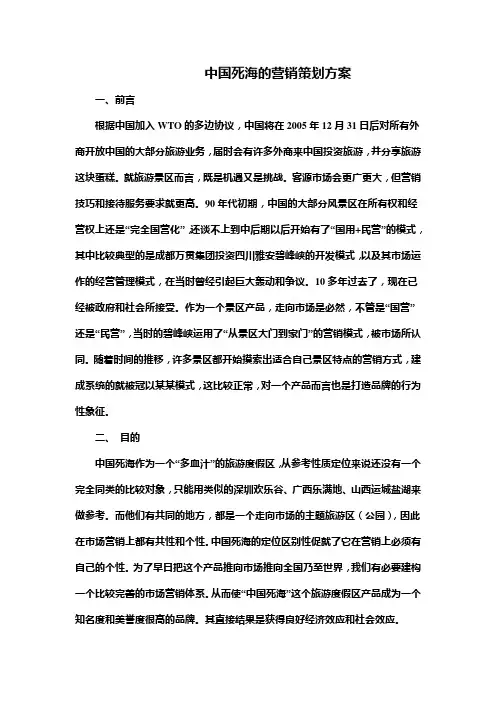 中国死海的营销策划方案