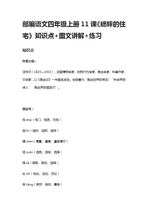 [全]部编语文四年级上册11课《蟋蟀的住宅》知识点+图文讲解+练习